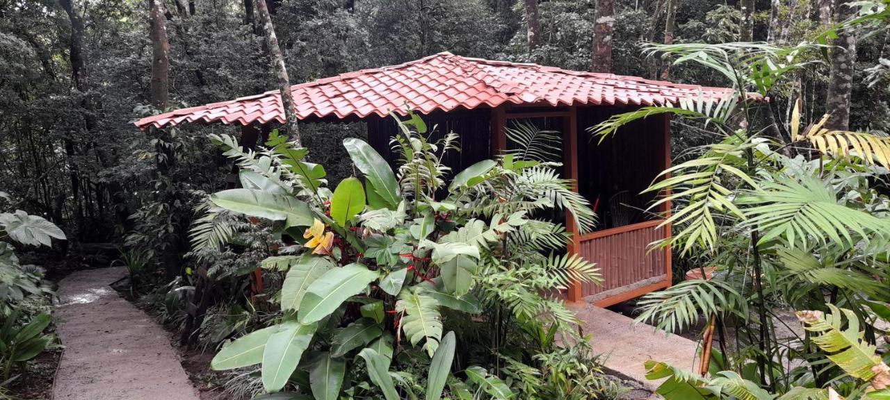 Cabanas La Montana Mountain Lodge Monteverde Exterior foto