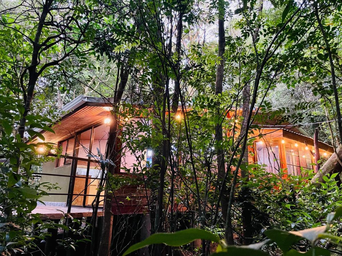Cabanas La Montana Mountain Lodge Monteverde Exterior foto